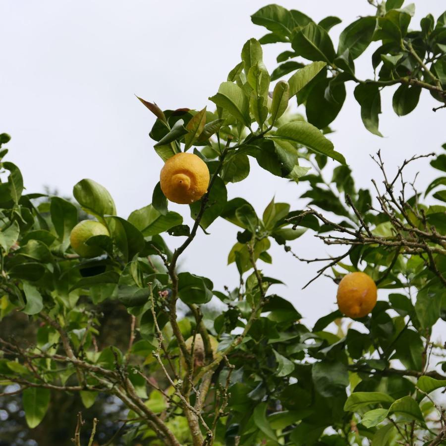 Espaco Origem Sintra Buitenkant foto